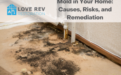 Mold in Your Home: Causes, Risks, and Remediation